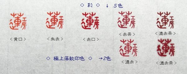 画像7: 彩　irodori (7)