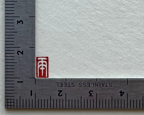 画像4: 「丙午（ひのえうま）朱文／白文短冊」の本柘植遊印 (4)