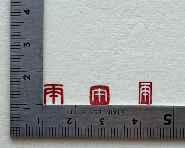 画像6: 「丙午（ひのえうま）朱文／白文短冊」の本柘植遊印 (6)