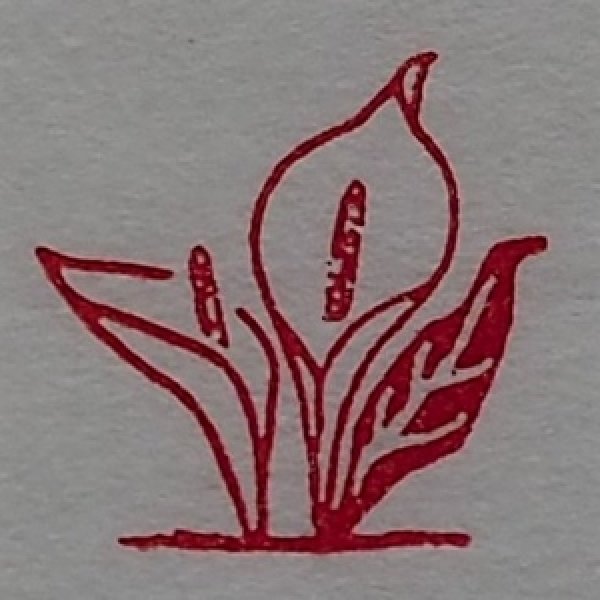 画像1: 「水芭蕉」の本柘植遊印 (1)