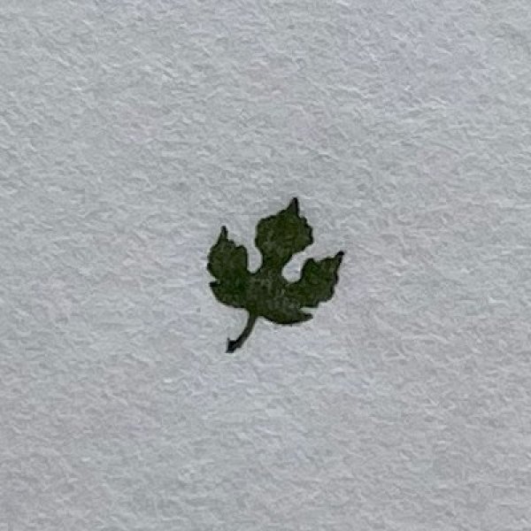 画像4: 「梶の葉」の本柘植遊印 (4)